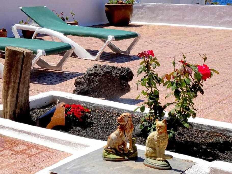Casa Descanso Con Jacuzzi En プラヤ・ケマダ エクステリア 写真